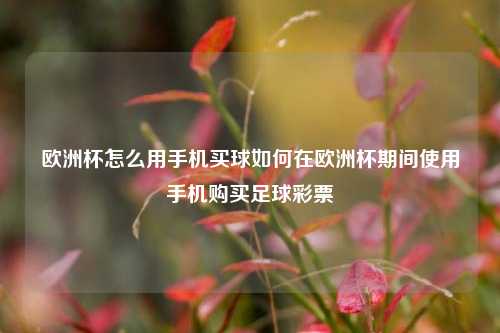 欧洲杯怎么用手机买球如何在欧洲杯期间使用手机购买足球彩票