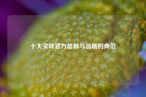 十大买球官方信赖与品质的典范