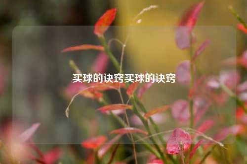 买球的诀窍买球的诀窍