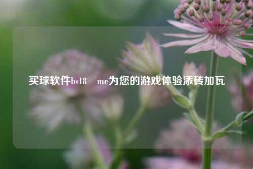 买球软件bs18婰me为您的游戏体验添砖加瓦