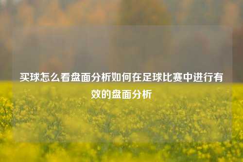 买球怎么看盘面分析如何在足球比赛中进行有效的盘面分析