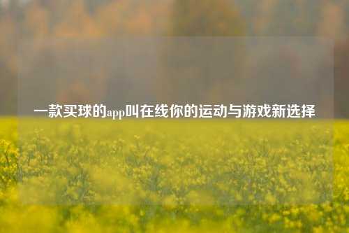 一款买球的app叫在线你的运动与游戏新选择