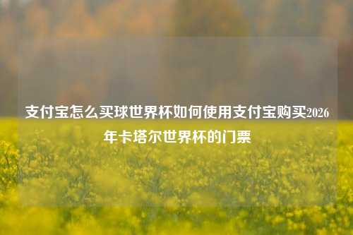 支付宝怎么买球世界杯如何使用支付宝购买2026年卡塔尔世界杯的门票