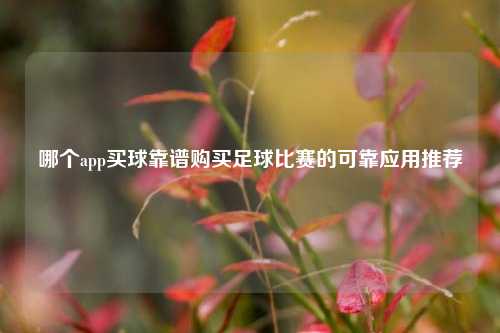 哪个app买球靠谱购买足球比赛的可靠应用推荐