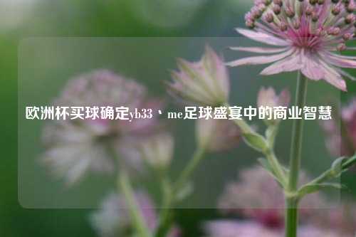 欧洲杯买球确定yb33丶me足球盛宴中的商业智慧