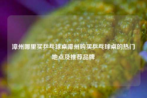 漳州哪里买乒乓球桌漳州购买乒乓球桌的热门地点及推荐品牌
