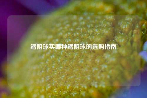 缩阴球买哪种缩阴球的选购指南