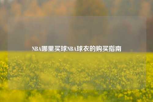 NBA哪里买球NBA球衣的购买指南