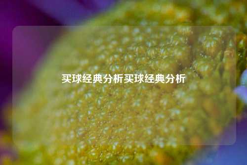 买球经典分析买球经典分析