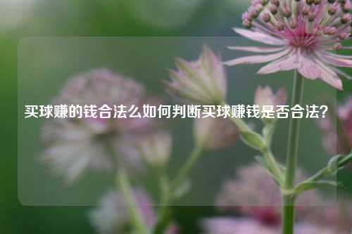 买球赚的钱合法么如何判断买球赚钱是否合法？