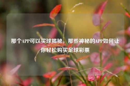 那个APP可以买球揭秘，那些神秘的APP如何让你轻松购买足球彩票