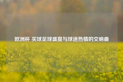 欧洲杯 买球足球盛宴与球迷热情的交响曲