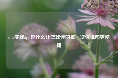 nba买球app是什么让篮球迷的每一次选择都更便捷