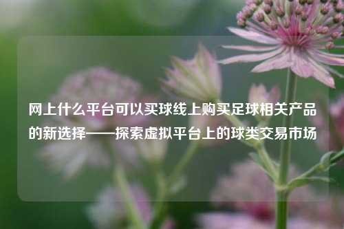 网上什么平台可以买球线上购买足球相关产品的新选择——探索虚拟平台上的球类交易市场