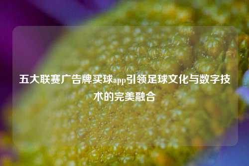 五大联赛广告牌买球app引领足球文化与数字技术的完美融合