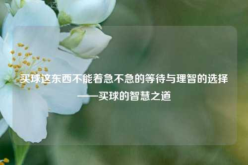 买球这东西不能着急不急的等待与理智的选择——买球的智慧之道